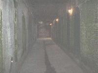 Picture for song 'optimist' by artist 'sin7'