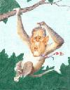 Picture for song 'Any More' by artist 'Since When'