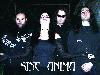 Picture for song 'The Trip_demo 05' by artist 'Sine Anima'