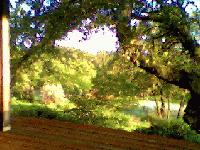 Picture for song 'no longer wants to pretend' by artist 'Sinemet Sounds'