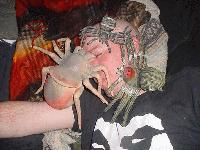 Picture for song 'Spiders Crawling' by artist 'Sinister Black Otter of Death'