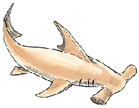 Picture for song 'mana pool' by artist 'SINISTRY'