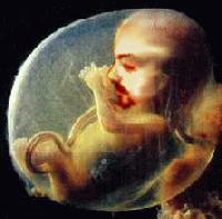 Picture for song 'mongolia' by artist 'SINISTRY'