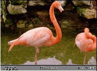 Picture for song 'retrogen' by artist 'SINISTRY'