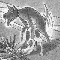 Picture for song 'Dark Beat' by artist 'SiniztahBeats'