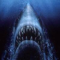 Picture for song 'Jaws Beet' by artist 'SINREC'