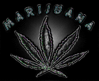 Picture for song 'smoke weed wit no seedz' by artist 'Sin-tax'