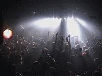 Picture for song 'Partytime' by artist 'Sir Nose'