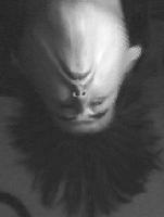 Picture for song 'nonaim' by artist 'sir render'