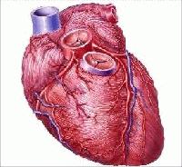 Picture for song 'Atrium' by artist 'Sirus Minor'