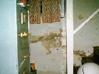 Picture for song 'Death in the Basement' by artist 'Sirus Minor'