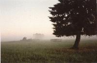 Picture for song 'Early Morning' by artist 'Sisters by Mistake'