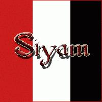 Picture for song 'Drop It' by artist 'Siyam'