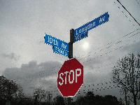 Picture for song 'Promise To Me' by artist 'Siyam'