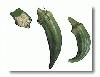 Picture for song 'Okra Soup Riddim' by artist 'Skankindaddy'