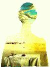 Picture for song 'Orpheus RidDub' by artist 'Skankindaddy'