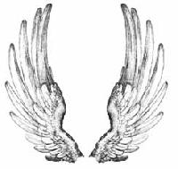 Picture for song 'love song' by artist 'SKANNDELUS'