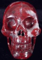 Picture for song 'Put Your Ugly Face On' by artist 'Skeletonne'