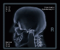 Picture for song 'Kursk' by artist 'Skeletonne'