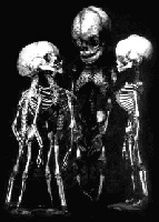 Picture for song 'Jinnee' by artist 'Skeletonne'