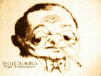 Picture for song '#5 Harmonics Song' by artist 'Skelet-Orangutan'