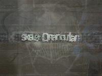 Picture for song 'My Own' by artist 'Skelet-Orangutan'