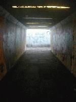 Picture for song 'Critical - Myopia' by artist 'skepticrecords'