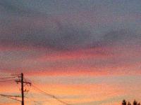 Picture for song 'Landscape Of Lavendar' by artist 'Skies Of Flying Kites'