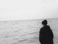 Picture for song 'The Ocean Shore' by artist 'Skies Of Flying Kites'