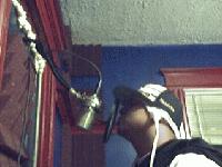 Picture for song 'GANGSTA RAP' by artist 'skoolbusentertainment'