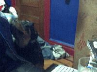 Picture for song 'THE SET UP REMiX' by artist 'skoolbusentertainment'