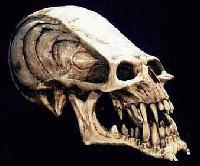 Picture for song 'FUK YA GIRL' by artist 'SKRAMBLE'