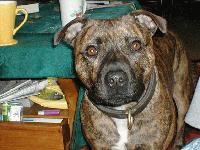 Picture for song 'Urban Disturbance - Out of the Scrypt' by artist 'Skrimshank'