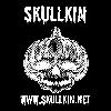 Picture for song 'Decaying Earth (live)' by artist 'SKULLKIN'