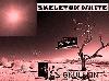 Picture for song 'Mr. Skeleton White' by artist 'SKULLKIN'