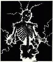 Picture for song 'Shake Yer Bones' by artist 'SkwYrm'