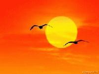 Picture for song 'When the morning comes' by artist 'Sky Harbour'