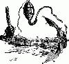 Picture for song 'This Anchor' by artist 'Skylight'