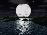 Picture for song 'gansta- hey love' by artist 'Skyshaun Zee'