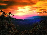 Picture for song 'Island funk' by artist 'Skyshaun Zee'