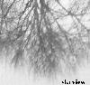 Picture for song 'Your First Poem' by artist 'skyview'