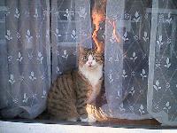 Picture for song 'A Clip...Of Some Sad French Horns' by artist 'Slack Teeth'