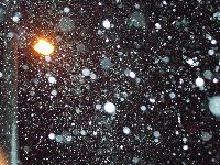 Picture for song 'Classical Funny' by artist 'Slack Teeth'