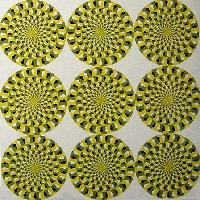 Picture for song 'Davasky' by artist 'Slack Teeth'