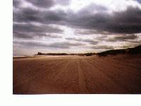 Picture for song 'The Last Hour Of A Long Bus Trip' by artist 'Slack Teeth'