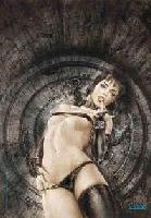 Picture for song 'sanctuary' by artist 'slamcatch'