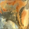 Picture for song 'My Ray' by artist 'Slam Orchid'