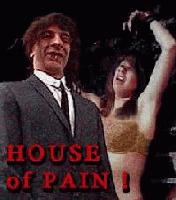 Picture for song 'House of Pain' by artist 'SlapMeister'