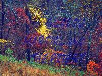 Picture for song 'O MATIN' by artist 'SLAROU'