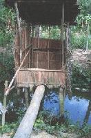 Picture for song 'Ain't Nuthin Nice' by artist 'Slave Master Tai and the Plantation'